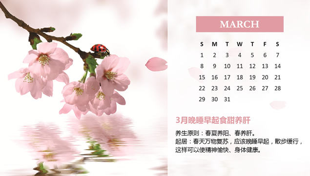 2015年健康养生日历PPT模板