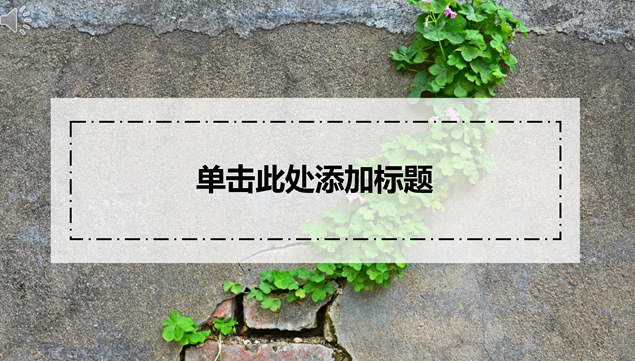 墙壁上的藤蔓绿植背景半透明元素小清新通用工作汇报PPT模板
