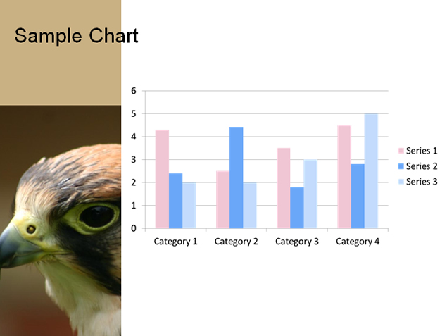 鹰——动物主题PPT模板