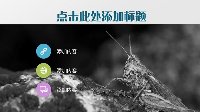 沉稳灰色背景商务PPT模板