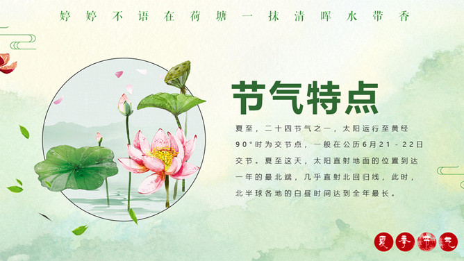 荷花夏至节气介绍PPT模板