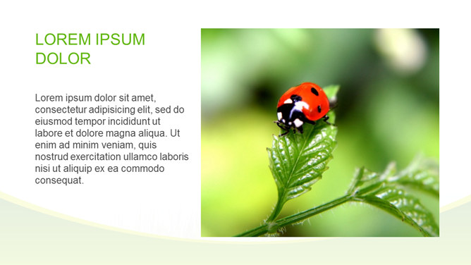 节约能源 保护地球 PPT 模板