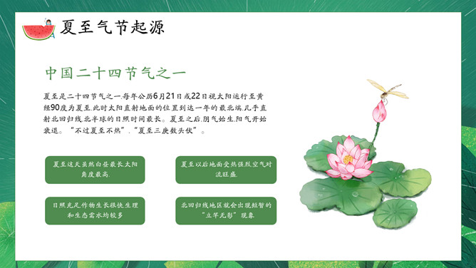 荷叶女孩夏至节气PPT模板