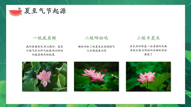 荷叶女孩夏至节气PPT模板