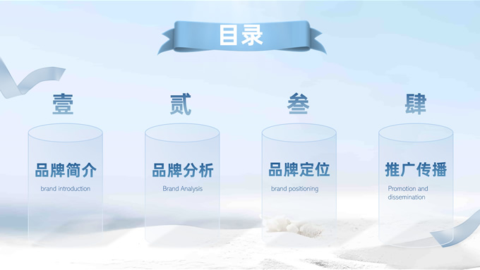 护肤品牌策划方案