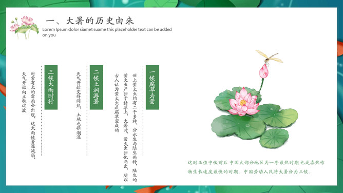 荷叶鲤鱼大暑节气PPT模板