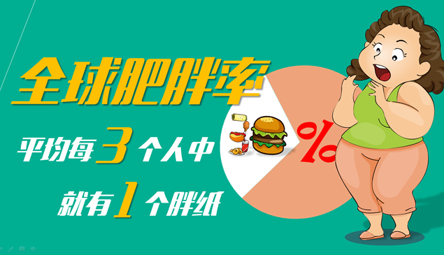 肥胖成因分析报告――《The FatMan！》锐普作品