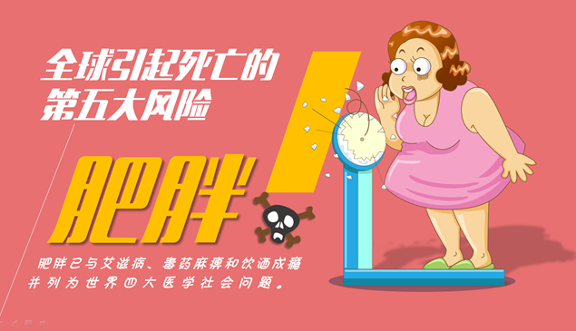 肥胖成因分析报告――《The FatMan！》锐普作品