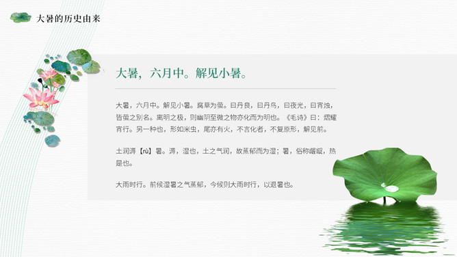 荷叶大暑节气介绍PPT模板