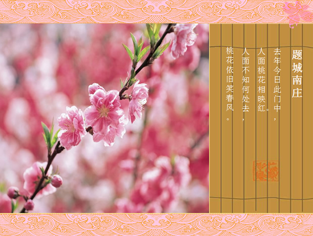 动态桃花花瓣掉落PPT模板