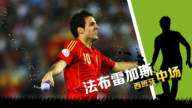 著名足球明星介绍PPT模板