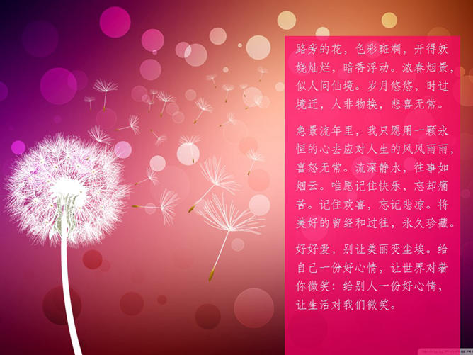 梦幻唯美蒲公英PPT背景