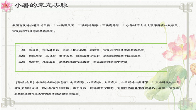 夏天荷花小暑节气PPT模板