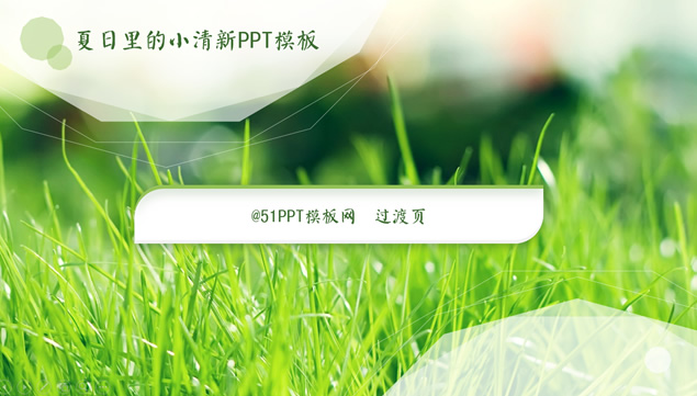 夏日里的小清新自然PPT模板