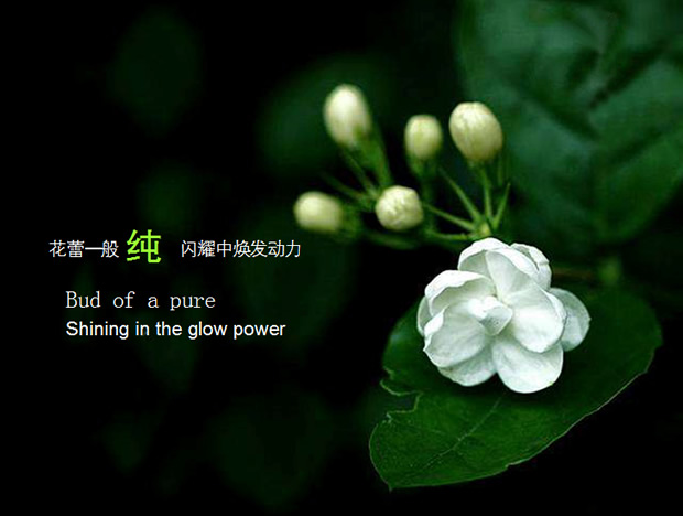 《给你一点“绿”》――自然春意PPT模板