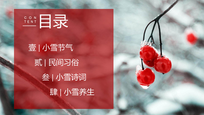 冰雪树枝小雪节气PPT模板