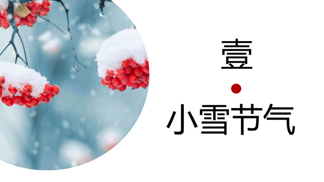 冰雪树枝小雪节气PPT模板