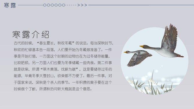 小鹿寒露节气主题PPT模板