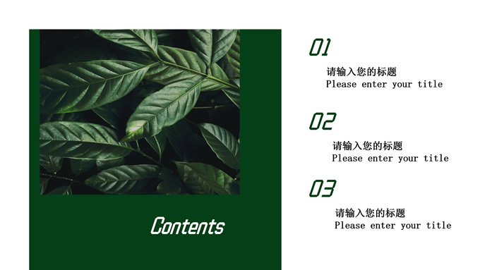 INS风绿色简约清新通用PPT模板