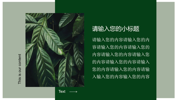 INS风绿色简约清新通用PPT模板