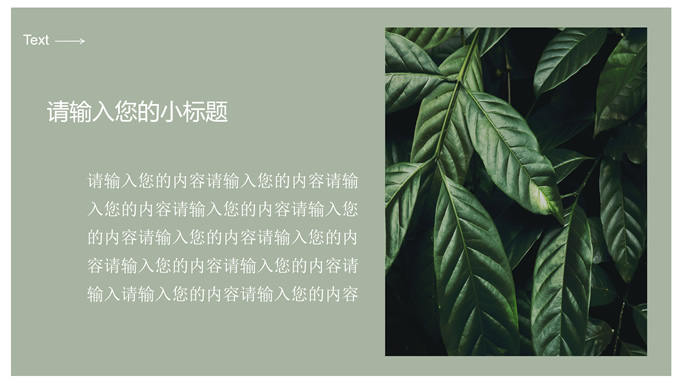 INS风绿色简约清新通用PPT模板