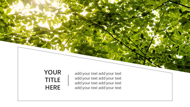 清新夏日绿叶主题PPT模板