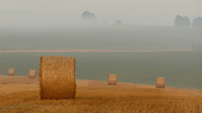 秋收麦田风光PPT背景图