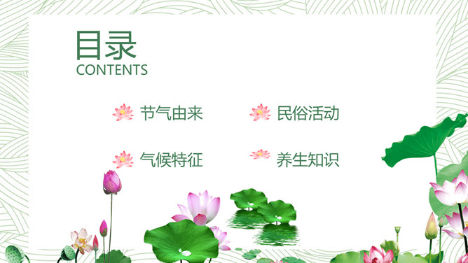 荷花大暑节气主题PPT模板