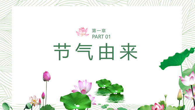 荷花大暑节气主题PPT模板