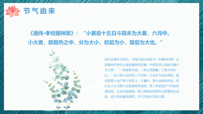 传统节气大暑PPT模板