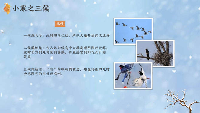 小朋友雪人小寒节气PPT模板