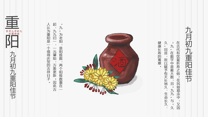 菊花重阳节介绍PPT模板