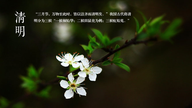 好看配图二十四节气PPT模板