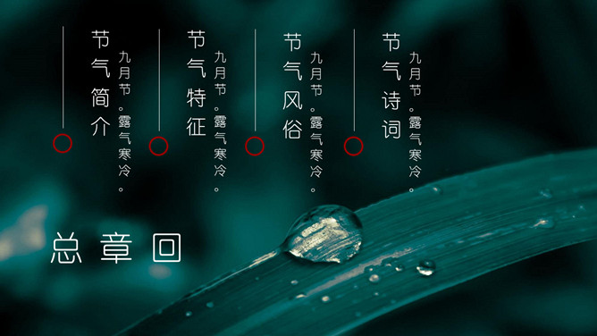 叶子露珠寒露节气PPT模板