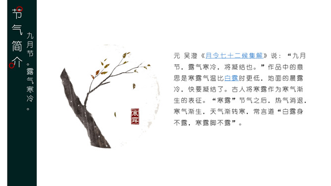 叶子露珠寒露节气PPT模板