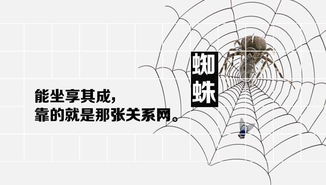 生活中隐藏的人生哲理PPT模板