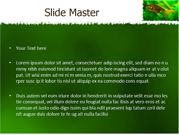 动物——鱼类PPT模板