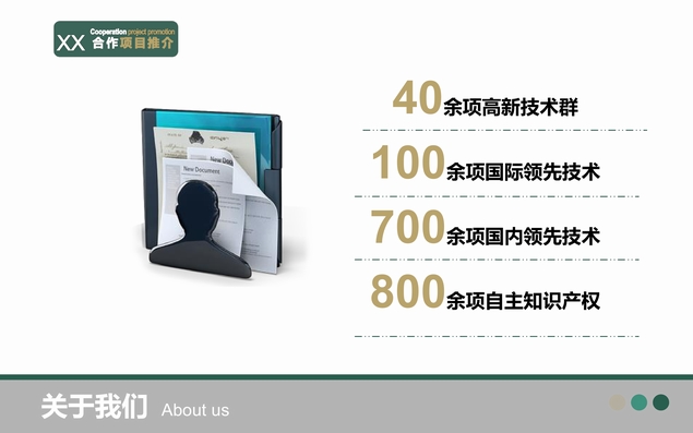 企业项目合作推介说明PPT模板