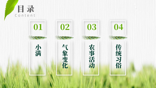 小满――二十四节气PPT模板