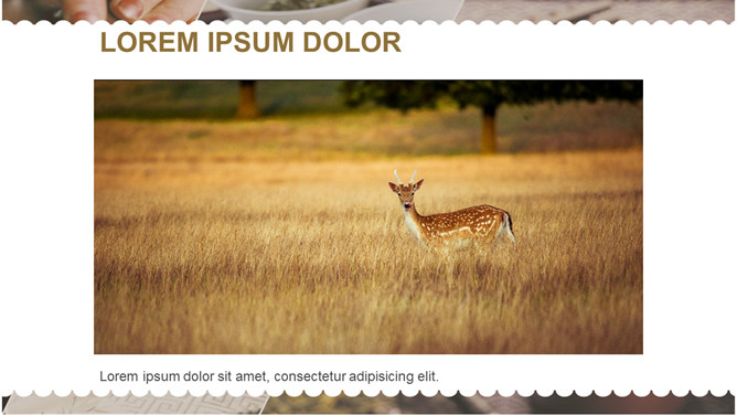 紫砂壶与茶道文化PPT模板