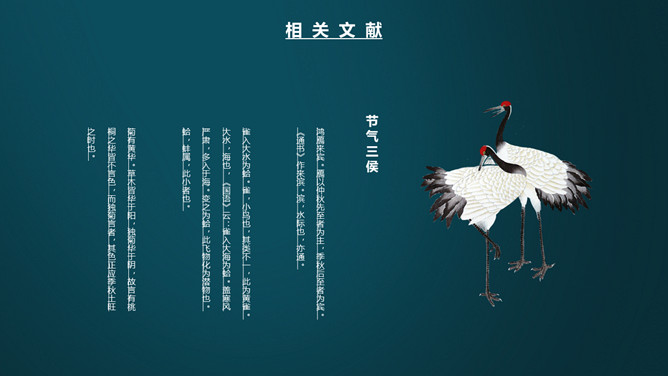 仙鹤寒露节气介绍PPT模板
