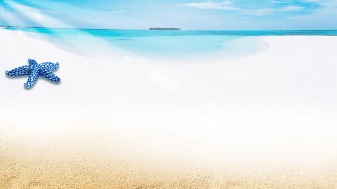 海星沙滩主题PPT模板