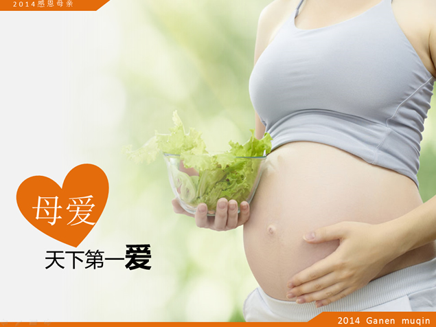 伟大的母爱――感恩母亲PPT模板