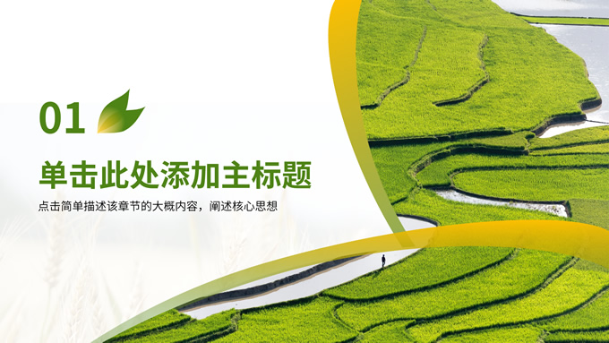 绿色农业毕业答辩