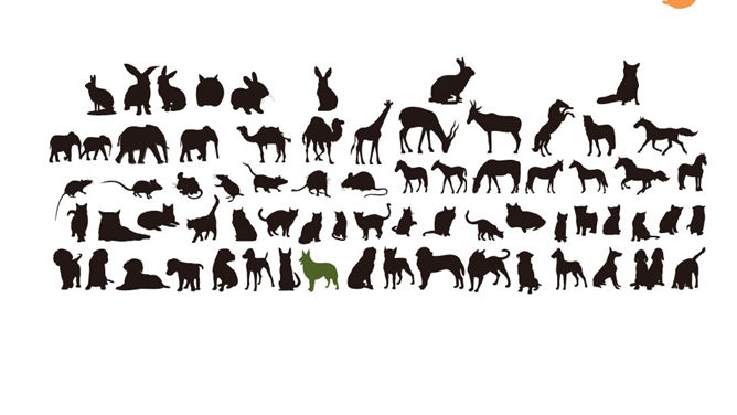 动物剪影幻灯片图片素材