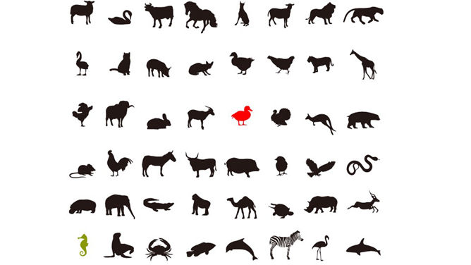 动物剪影幻灯片图片素材