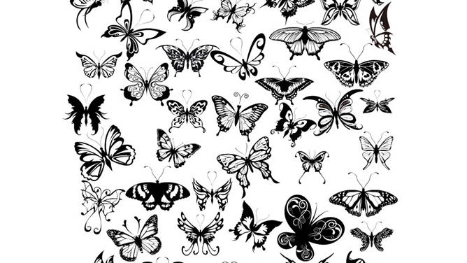 动物剪影幻灯片图片素材