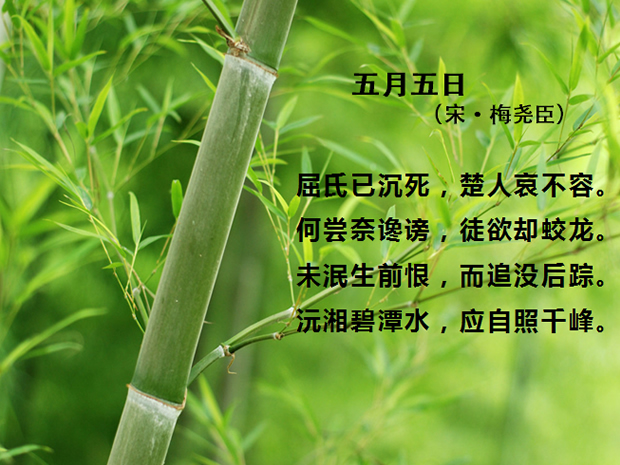 中国传统端午佳节PPT模板