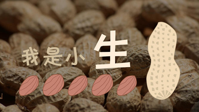 趣味动态端午节主题PPT