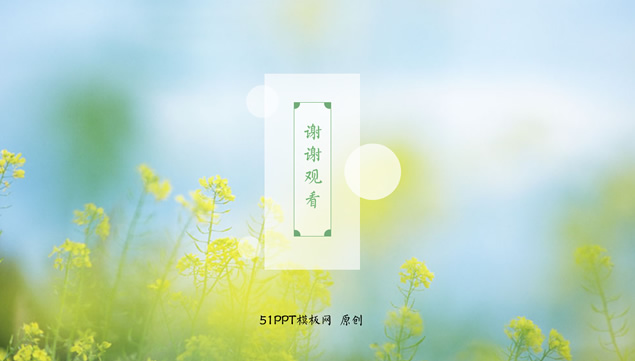 淡雅清新自然油菜花PPT模板